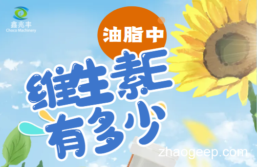 兆格分享：全自動(dòng)液壓榨油機(jī) 維生素E是什么？什么食用油含維生素E高？