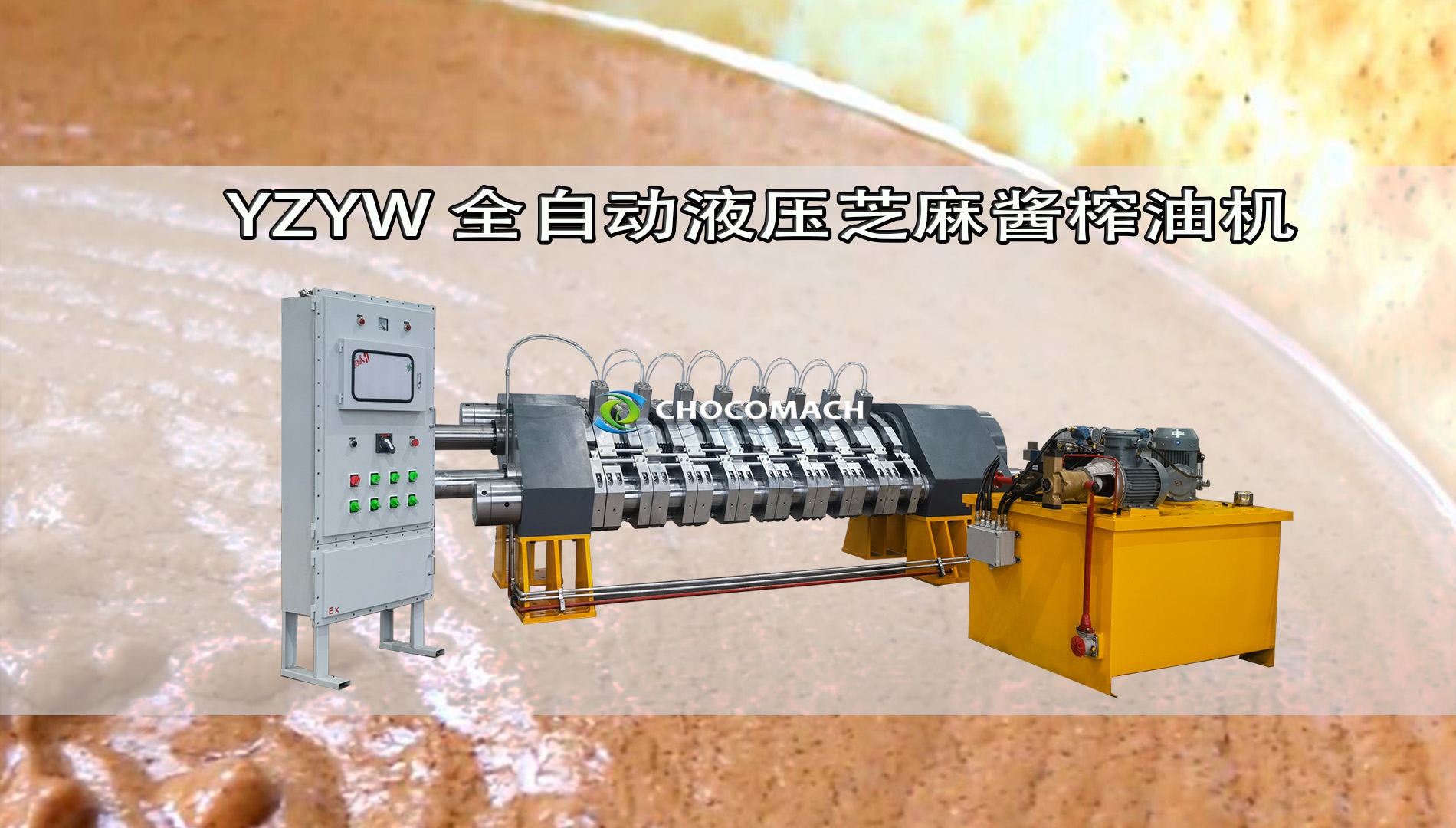 YZYW全自動芝麻香油機(jī)