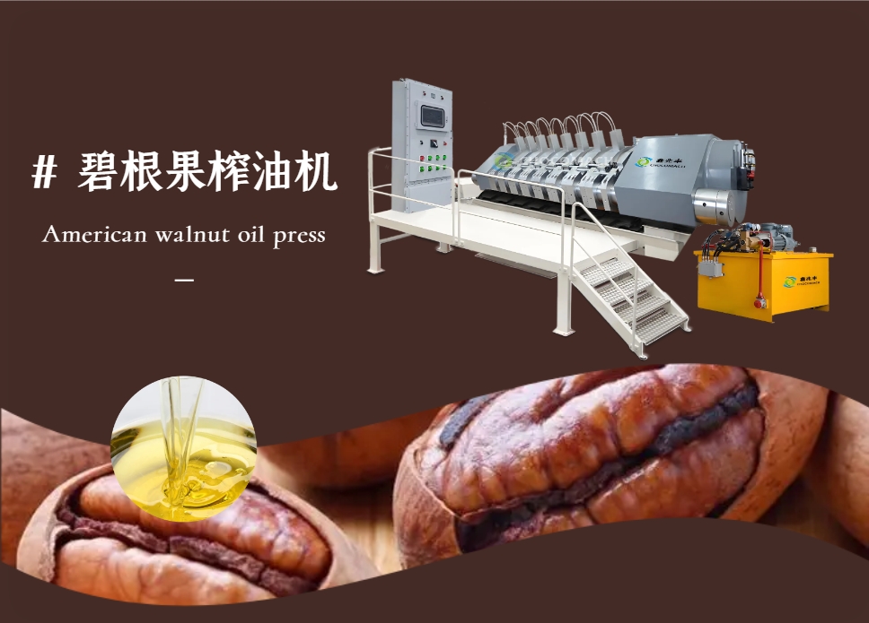 全自動(dòng)液壓榨油機(jī)_YZYW42-6_美國核桃│碧根果榨油機(jī)